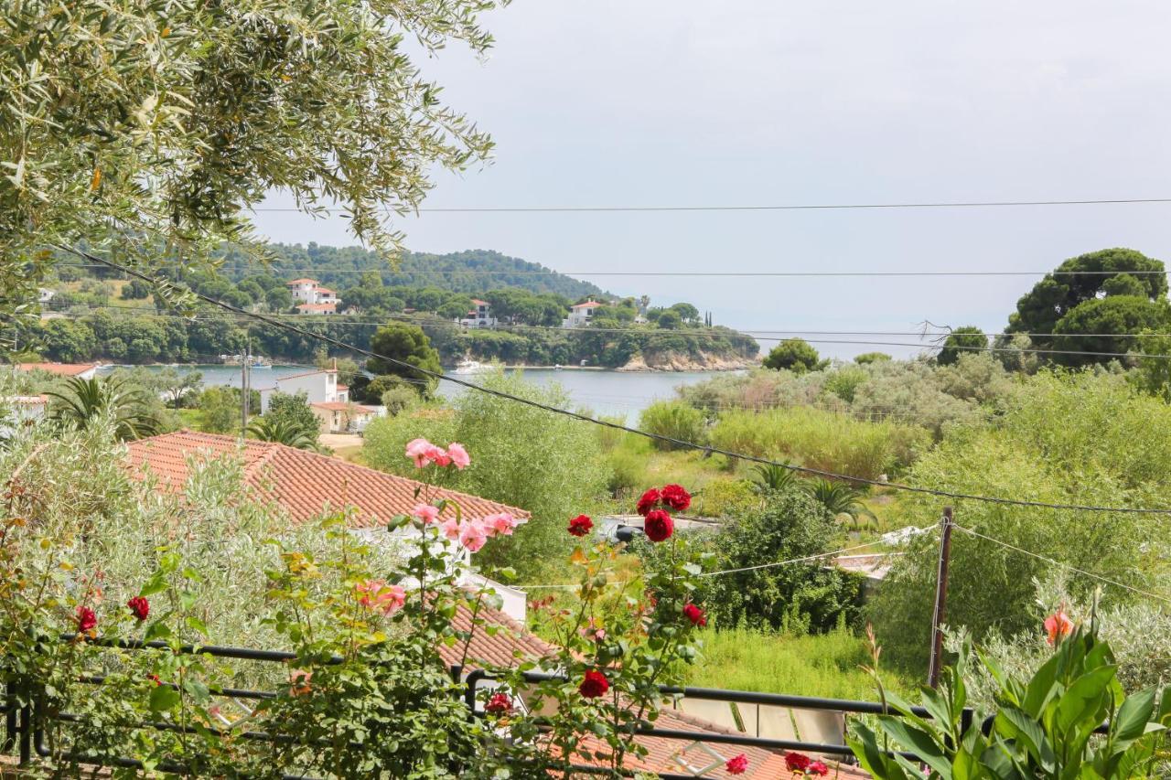 Studios Villa Eleni Platanias  ภายนอก รูปภาพ